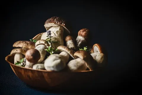 蘑菇在碗里,背景暗淡 蘑菇在碗里,背景暗淡