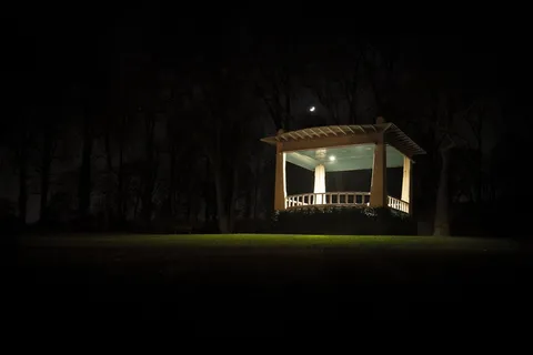 黑暗、露台、草、光、月亮、夜晚、树、植物 黑暗、露台、草、光、月亮、夜晚、树、植物