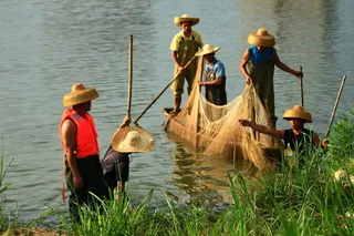 珠海，板，村，风景，三板村，风光，河，桨