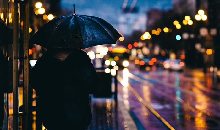 人，手持，黑色，雨伞，夜间，成人，模糊，博克