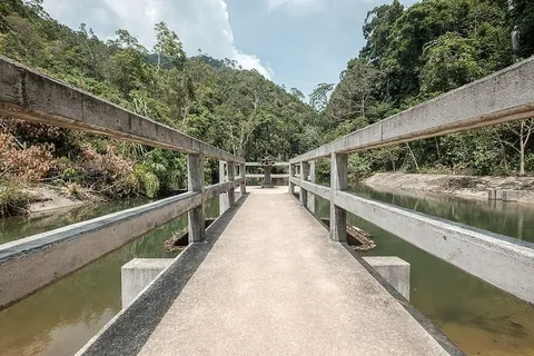 建筑、桥梁、森林、绿化、导向、湖泊、景观、户外 建筑、桥梁、森林、绿化、导向、湖泊、景观、户外