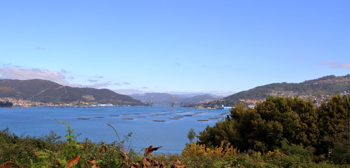 ria de vigo，vao，bateas，加利西亚，西班牙，水，山，风景-自然