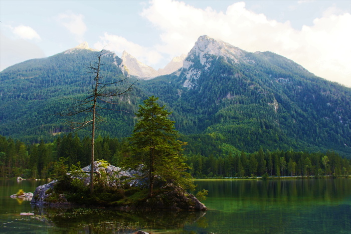 后海，贝希特斯加登，山，树，水，自然之美，风景-自然，植物
