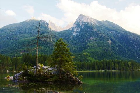 后海，贝希特斯加登，山，树，水，自然之美，风景-自然，植物