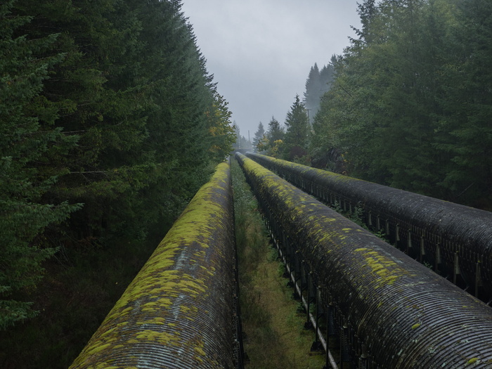 加拿大、坎贝尔河、麋鹿瀑布省级公园和保护区、工业、交通、森林、麋鹿瀑布、温哥华岛