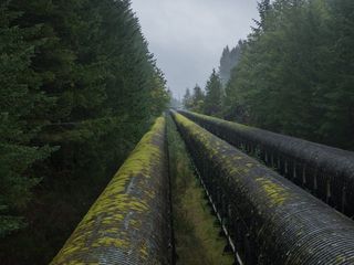 加拿大、坎贝尔河、麋鹿瀑布省级公园和保护区、工业、交通、森林、麋鹿瀑布、温哥华岛