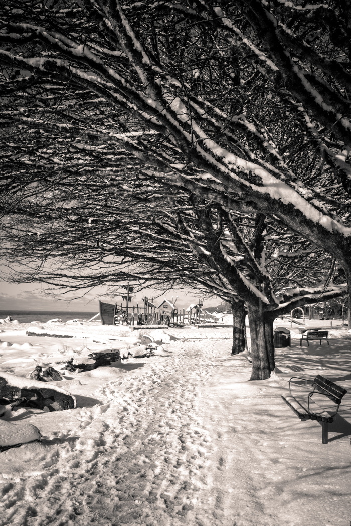 加拿大，西温哥华，足迹，温哥华，引导线，太平洋西北，黑白，雪