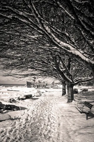 加拿大，西温哥华，足迹，温哥华，引导线，太平洋西北，黑白，雪