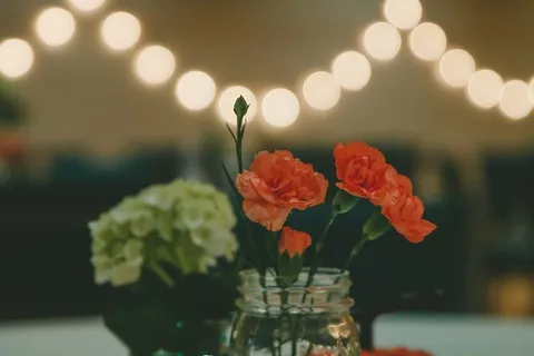 选择性,聚焦照片,红色,花瓣花朵,透明,玻璃花瓶,倾斜,移动 选择性,聚焦照片,红色,花瓣花朵,透明,玻璃花瓶,倾斜,移动