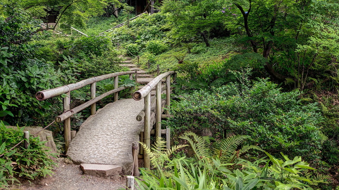 棕色、竹桥栏杆、环绕、绿色、树叶、树木、灰色、混凝土