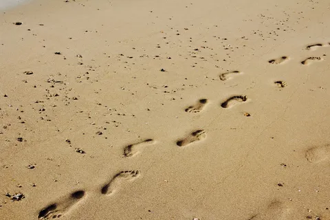 脚步,沙子,脚印,太阳,沙子里的脚印,痕迹,沙子里的脚印,脚印 脚步,沙子,脚印,太阳,沙子里的脚印,痕迹,沙子里的脚印,脚印