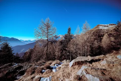 白天蓝天下山上的棕色树木