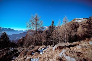 白天蓝天下山上的棕色树木