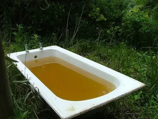 浴室、水龙头、室外浴室、室外浴室、雨水、雨水浴室、森林、树木