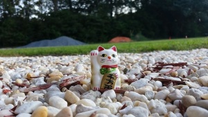 幸运猫neko maneki象征日本传统财富