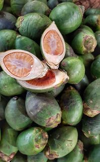 槟榔，槟榔掌，咀嚼，像烟草，麻醉效果，食品，水果，热带