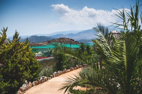 靠近绿树体的山脉