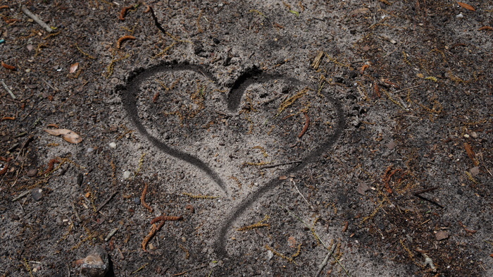 桌面, 模式, 抽象, 脏, 自然, 艺术, 简单, 爱