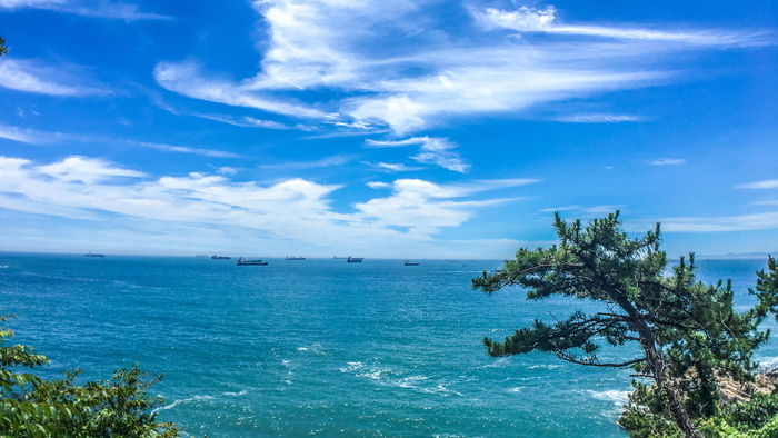 海，松，天，风景，水，蓝，海岸，价格