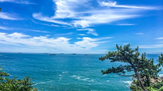 海,松,天,风景,水,蓝,海岸,价格 海,松,天,风景,水,蓝,海岸,价格