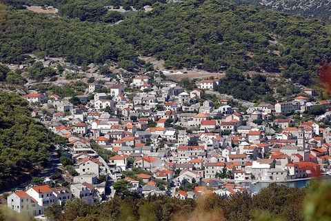 布拉克岛普西斯卡