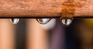 水滴，滴水，水滴，雨滴，湿的，水，流出，清澈