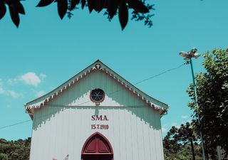 白色、木质、大教堂、环绕、树木、建筑、建筑、木质