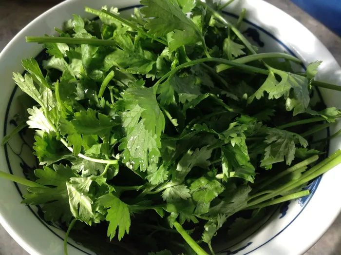 香菜、蔬菜、健康、食品、新鲜度、绿色、叶子、沙拉