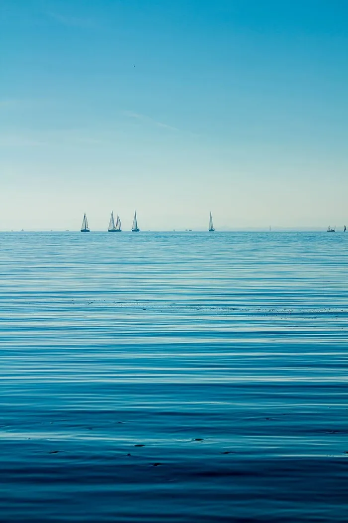 自然，水，海洋，海洋，平静，水面，帆，船