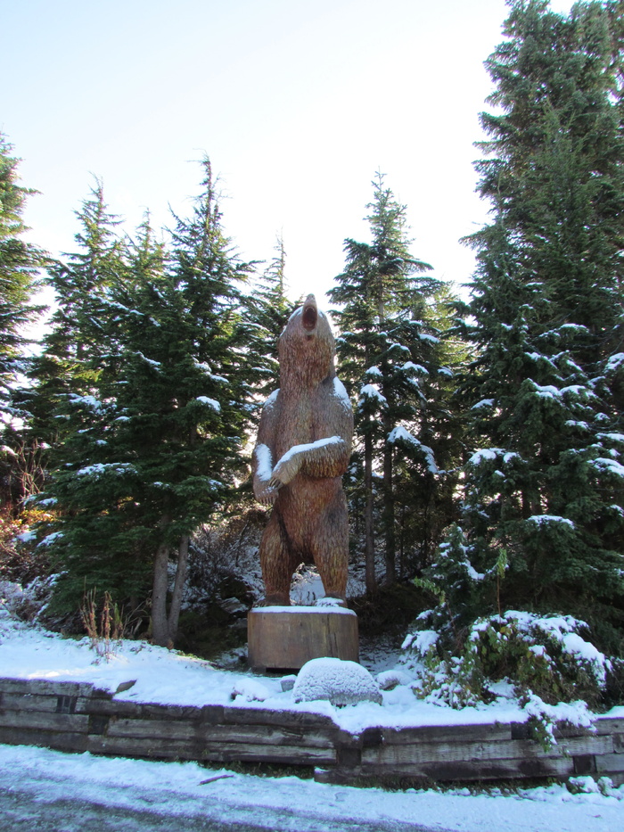 松鸡山，加拿大，温哥华，雪，雕像，雕刻，熊，山