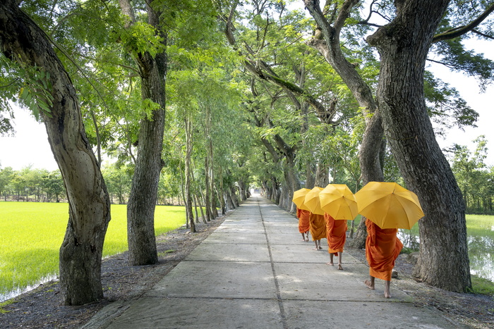 手持雨伞的僧侣在小路上行走