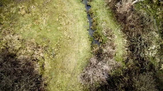 空中,空中拍摄,溪流,田野,草地,灌木丛,荒野,植物 空中,空中拍摄,溪流,田野,草地,灌木丛,荒野,植物