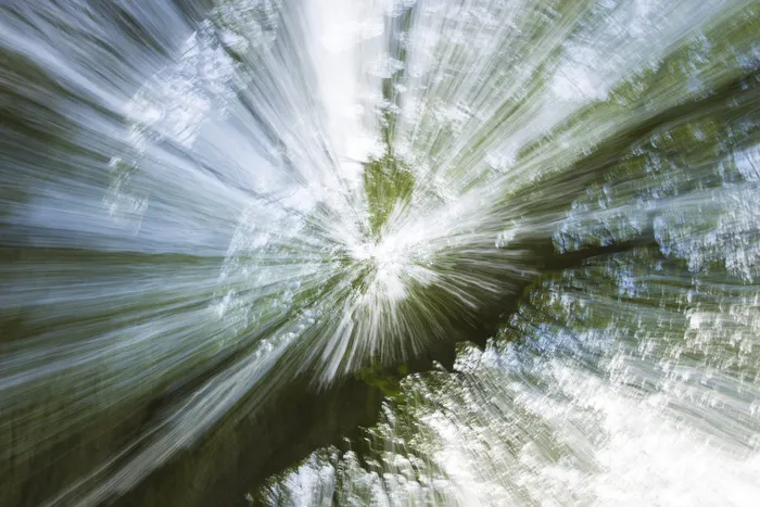 树，光，光束，运动，阴影，动态，运动，辐射