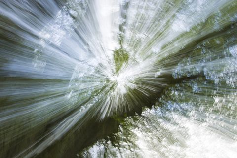 树，光，光束，运动，阴影，动态，运动，辐射