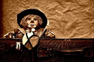 娃娃，小丑，悲伤，深褐色，甜蜜，有趣，玩具，孩子