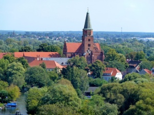 dom、brandenburg、church、germany、Stiple、tree、building exterior、architecture