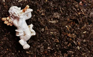 天使、特写、肮脏、干燥、环境、无花果、雕像、地面