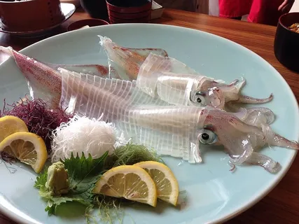 鱿鱼刺身,放置,青色,陶瓷,盘子,鱿鱼,刺身,日本 鱿鱼刺身,放置,青色,陶瓷,盘子,鱿鱼,刺身,日本