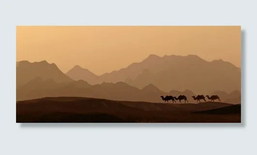 日落期间的骆驼，黎明，沙漠，日落，全景，山脉，景观，动物