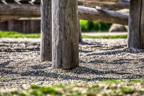 游乐场, 木树干, 木, 支持, klettergerüst, 爬, 植物, 儿童 游乐场, 木树干, 木, 支持, klettergerüst, 爬, 植物, 儿童