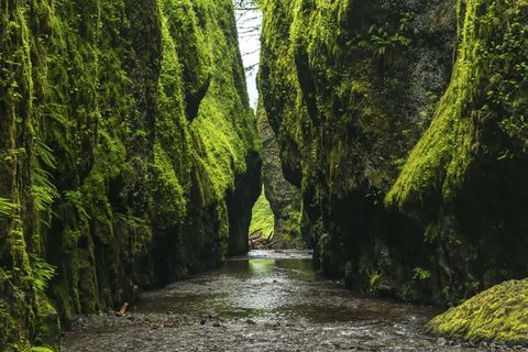 巨石、自然、景观、旅行、冒险、绿色、树木、树叶之间的通道