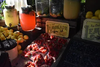 澳大利亚亚历山大港的土地，亚历山大港，柠檬水，水果，摊位，柠檬，草莓