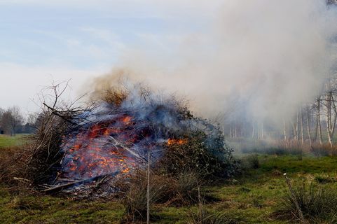 布伦塔，东弗里西亚，烟，火，传统，火-自然现象，树，燃烧
