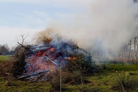 布伦塔，东弗里西亚，烟，火，传统，火-自然现象，树，燃烧