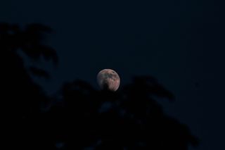 夜晚，时间，夜晚，月亮，月光，天空，黑暗，月光