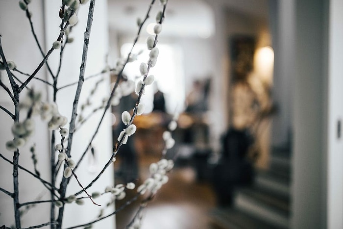 带有柳絮的当代室内设计