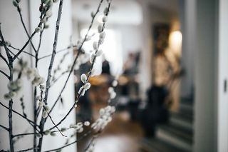 带有柳絮的当代室内设计