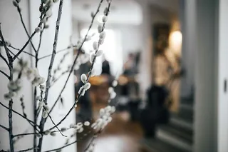 带有柳絮的当代室内设计