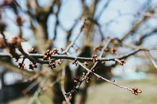 在秋天的森林里散步