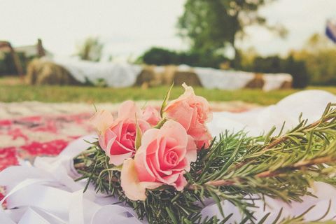 美国, 斯科茨维尔, 爱情, 鲜花, 婚礼, 业务, 快乐, 背景